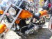PICT0091.JPG